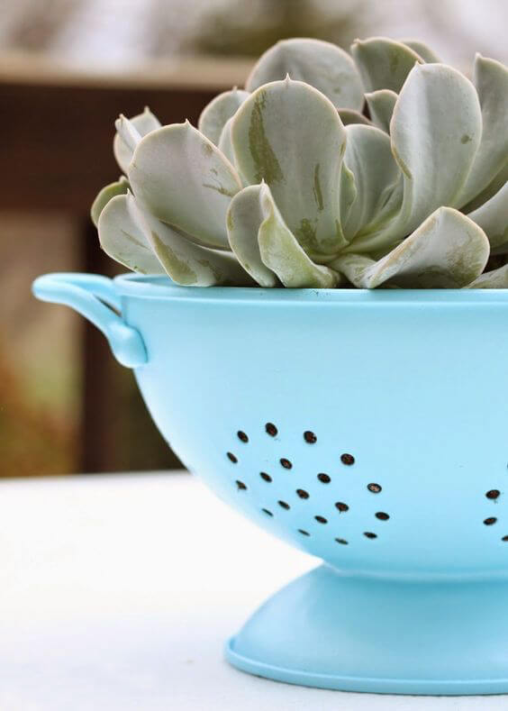upcycled planter colander