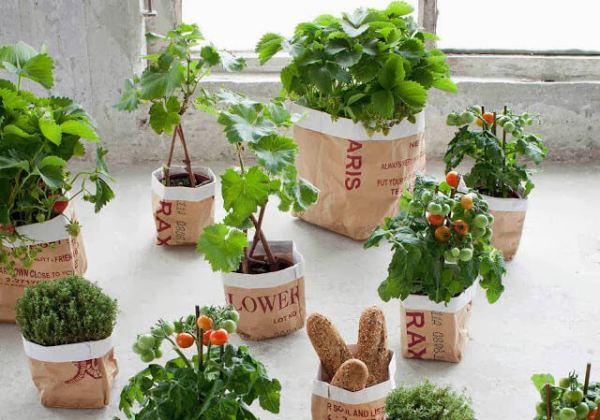 upcycled planter paper bags